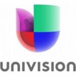 Univision segmented shield logo above UNIVISION text.