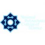 National Polytechnic College of Science geometric arrow logo with text.