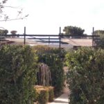 Metal pergola with shade cloth behind hedges and dry fountain.