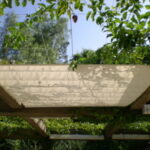 Pergola with leafy vines and translucent fabric shade.