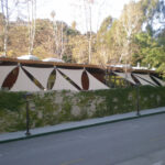 Building with triangular shade sails and ivy-covered wall.