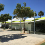 Contemporary library with large windows and nearby shade trees.